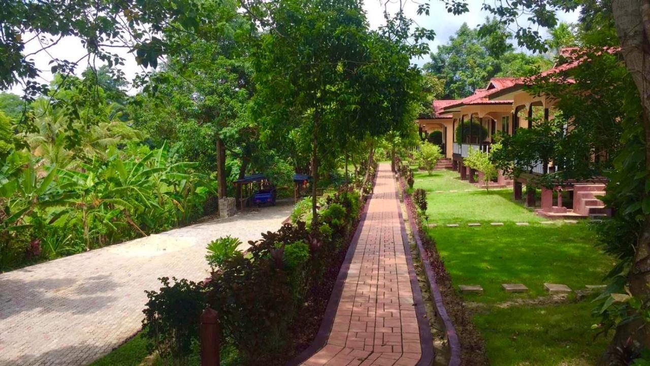 Hill Garden Hotel Chaungtha Dış mekan fotoğraf